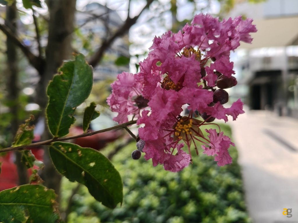 recensione-oppo-reno-14