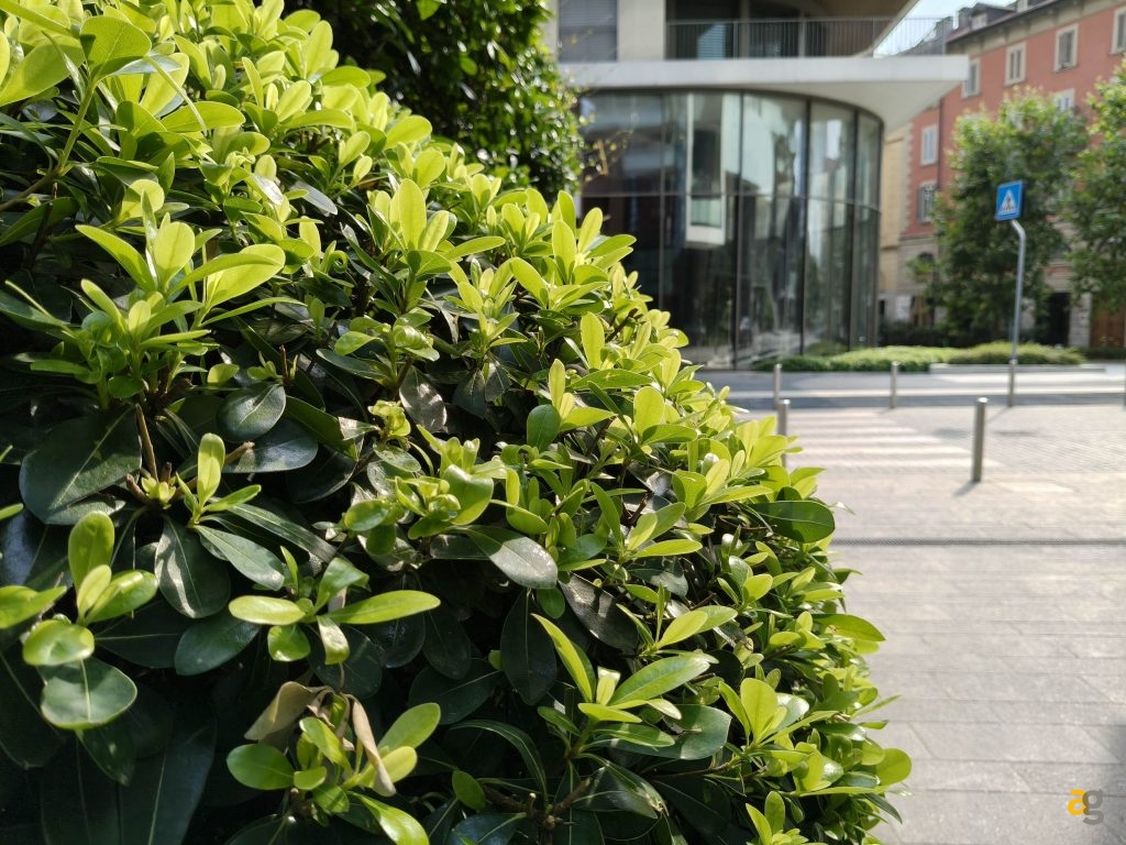 recensione-oppo-reno-14