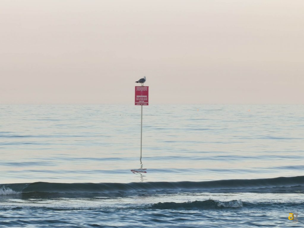 recensione-oppo-reno-14