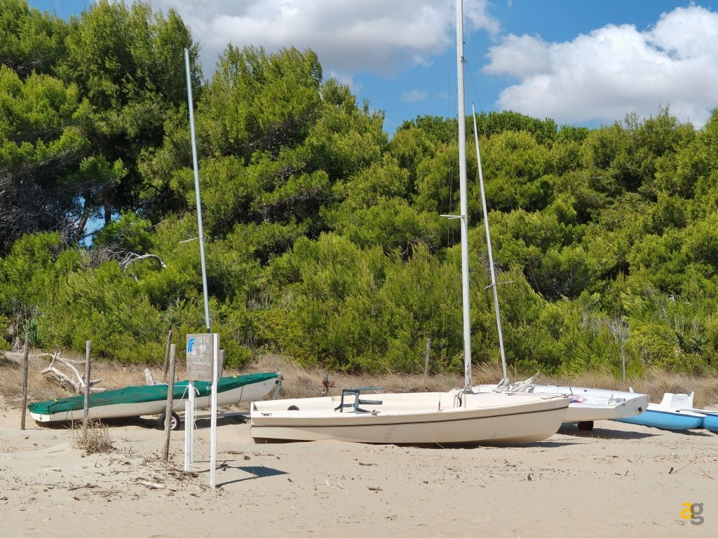 recensione-tcl-nxtpaper-60-ultra-display-opaco-penna-eink-mode