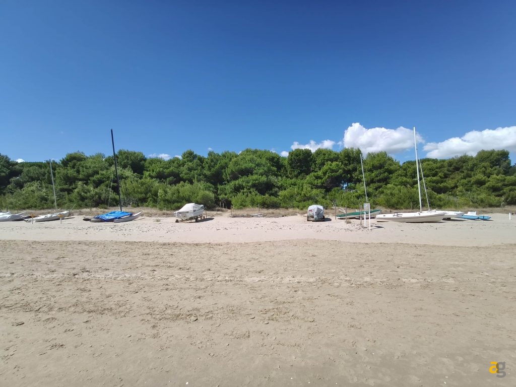 recensione-tcl-nxtpaper-60-ultra-display-opaco-penna-eink-mode