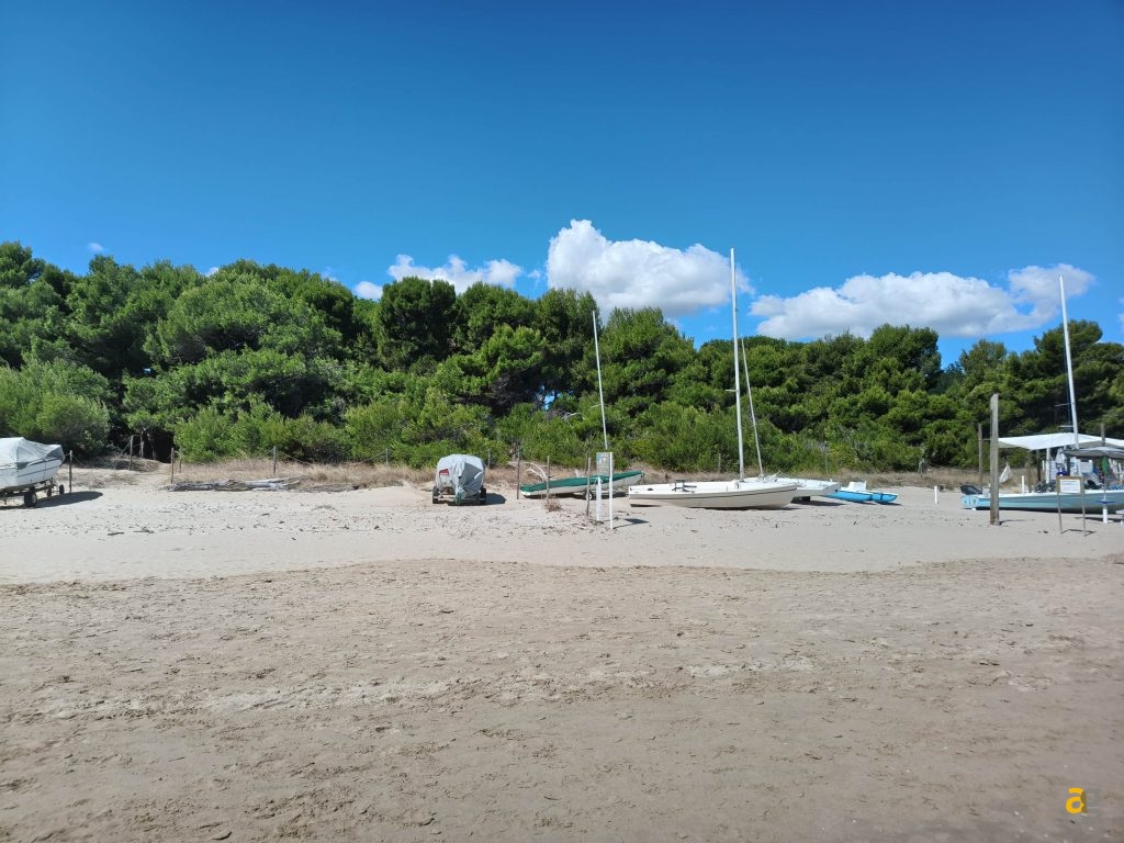 recensione-tcl-nxtpaper-60-ultra-display-opaco-penna-eink-mode