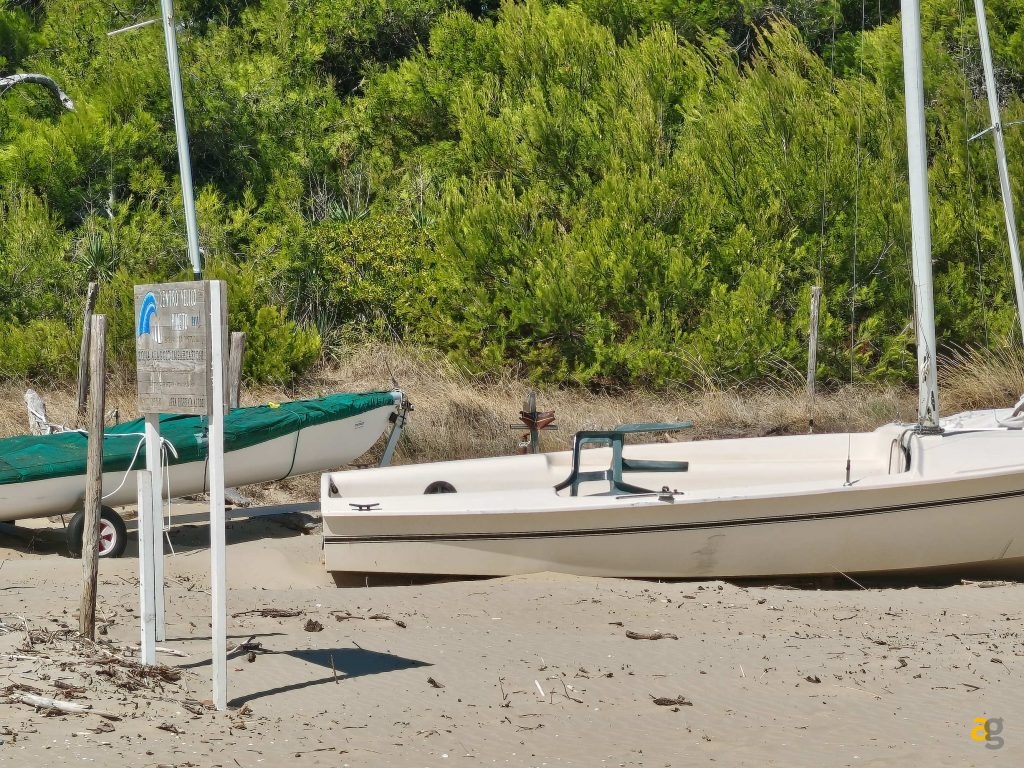 recensione-tcl-nxtpaper-60-ultra-display-opaco-penna-eink-mode