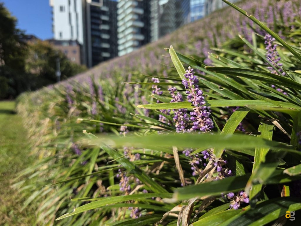 confronto-iphone-17-promax-vs-galaxy-s25-ultra-vs-pixel-10-pro-xl