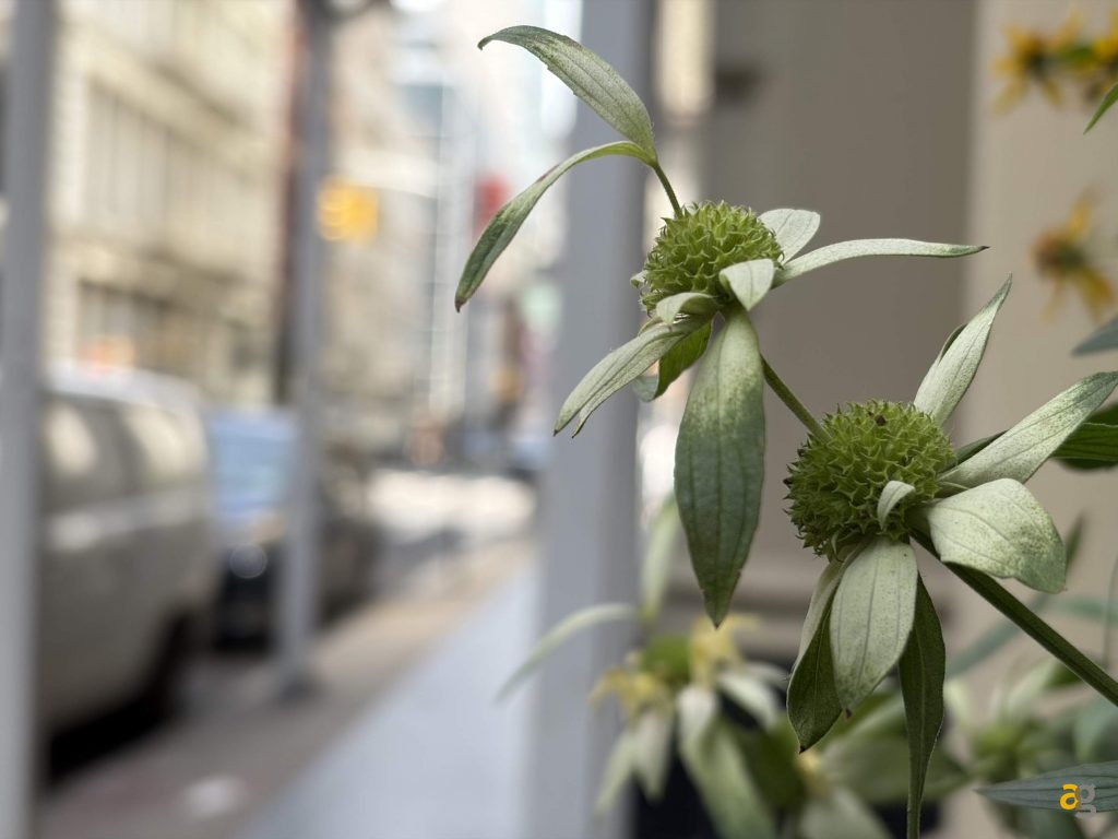 recensione-apple-iphone-17