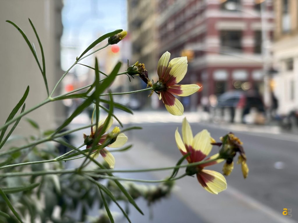 recensione-apple-iphone-17