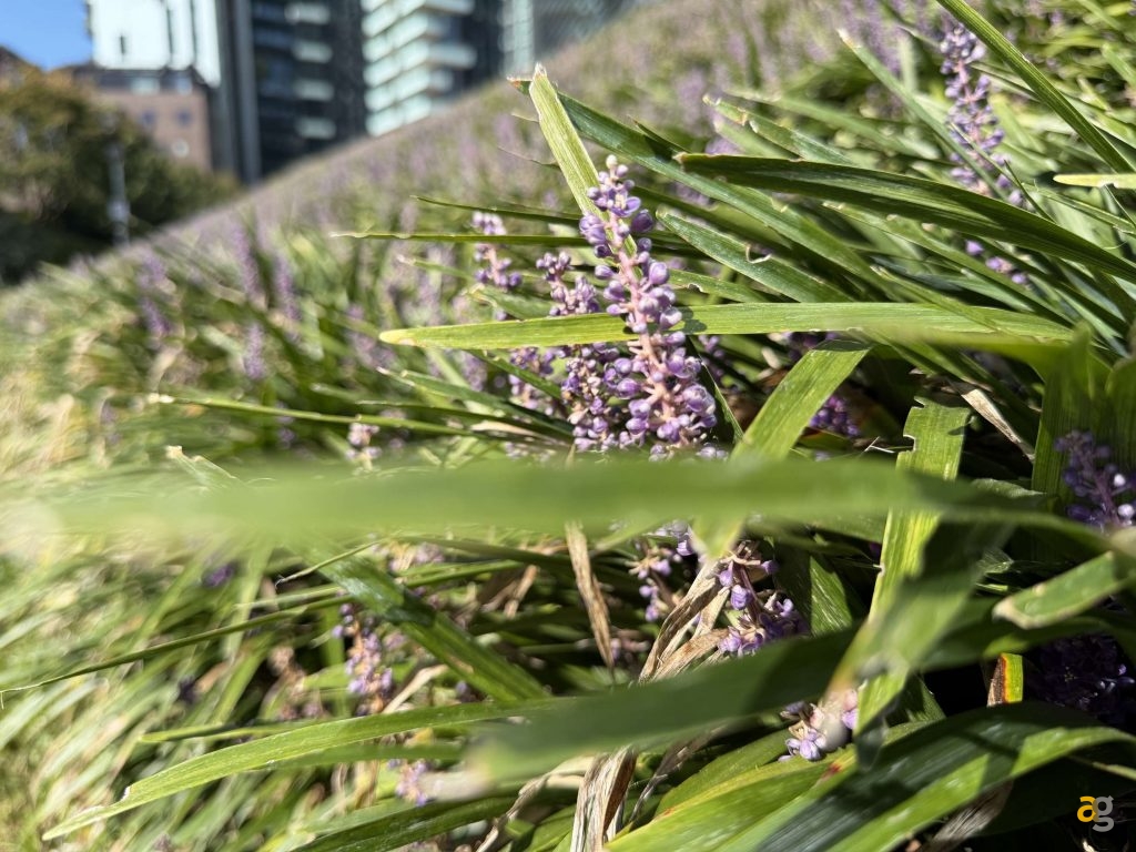 confronto-iphone-17-promax-vs-galaxy-s25-ultra-vs-pixel-10-pro-xl