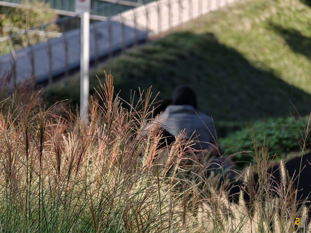 recensione-oppo-find-x9-pro-obiettivi-intercambiabili