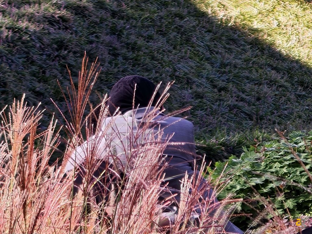 recensione-oppo-find-x9-pro-obiettivi-intercambiabili