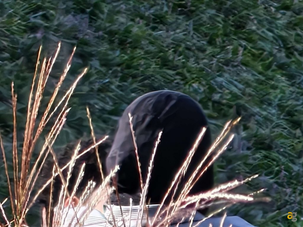 recensione-oppo-find-x9-pro-obiettivi-intercambiabili