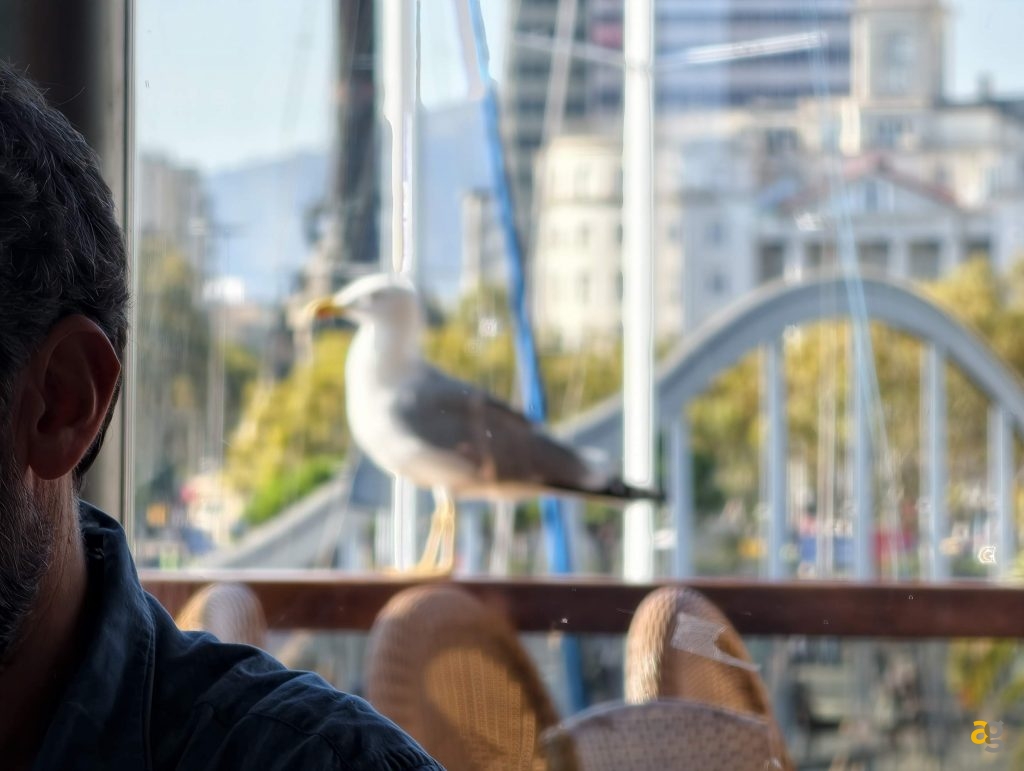 recensione-vivo-x300-batte-tutti-nelle-foto-obiettivo-intercambiabile