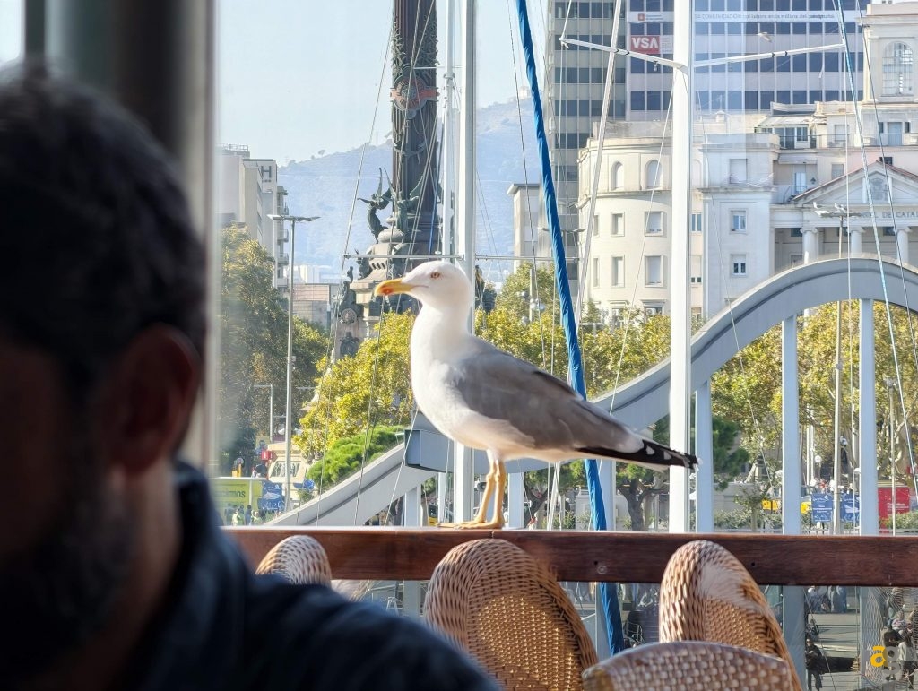 recensione-vivo-x300-batte-tutti-nelle-foto-obiettivo-intercambiabile