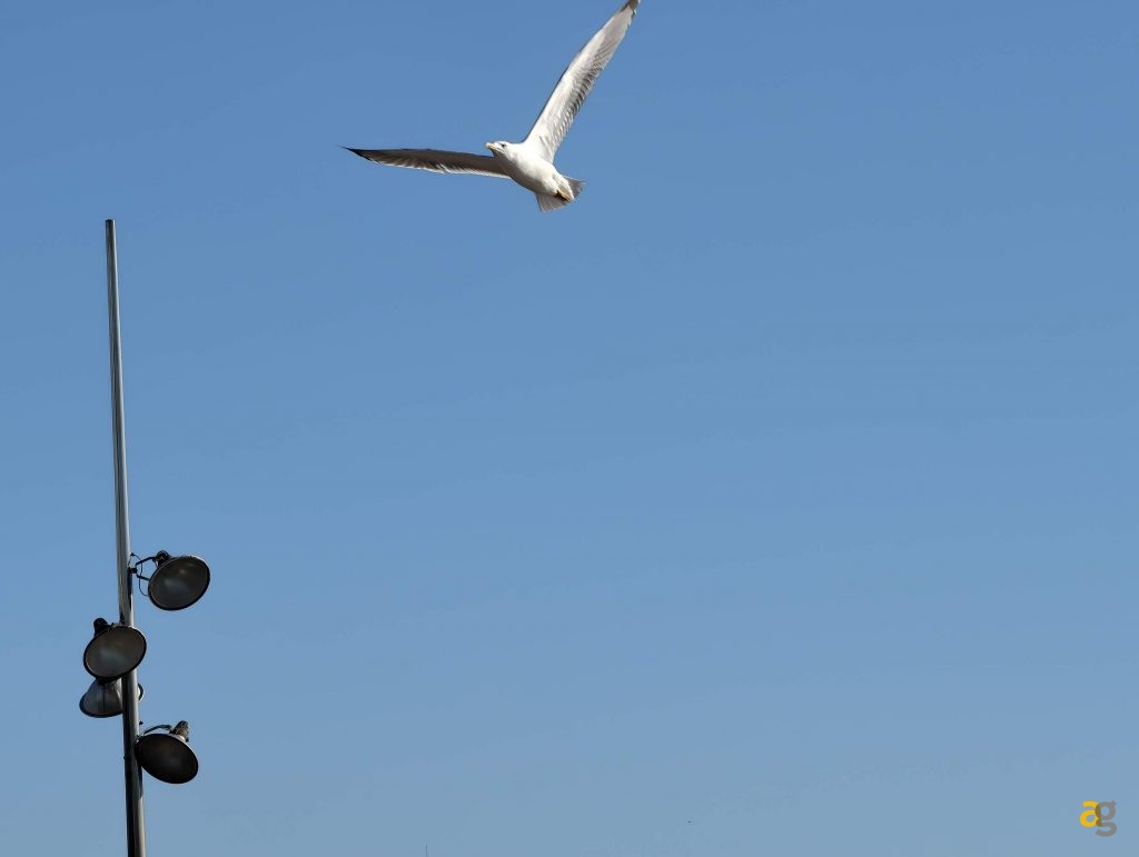 recensione-vivo-x300-batte-tutti-nelle-foto-obiettivo-intercambiabile