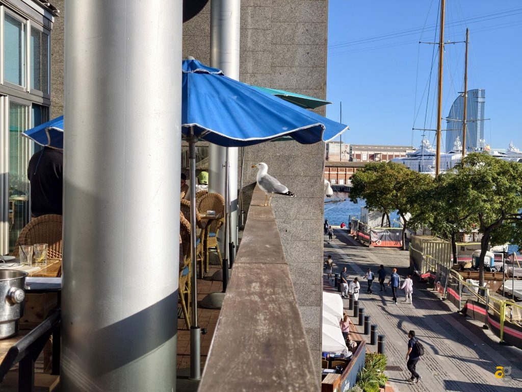 recensione-vivo-x300-batte-tutti-nelle-foto-obiettivo-intercambiabile