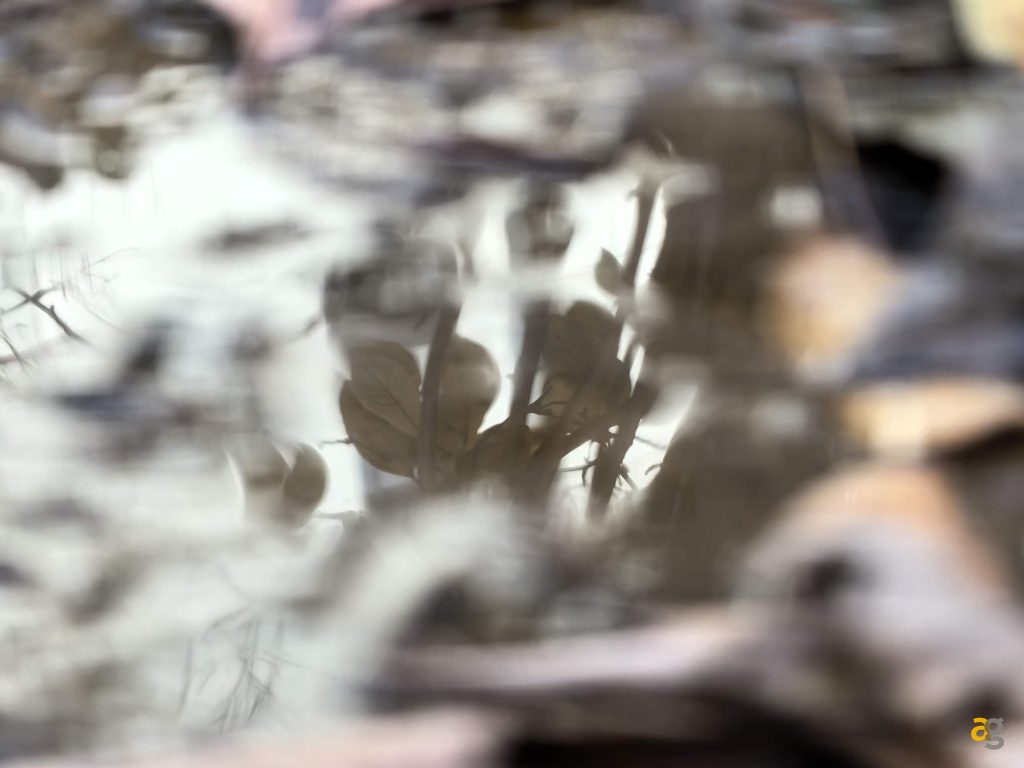 recensione-huawei-pura-80-ultra