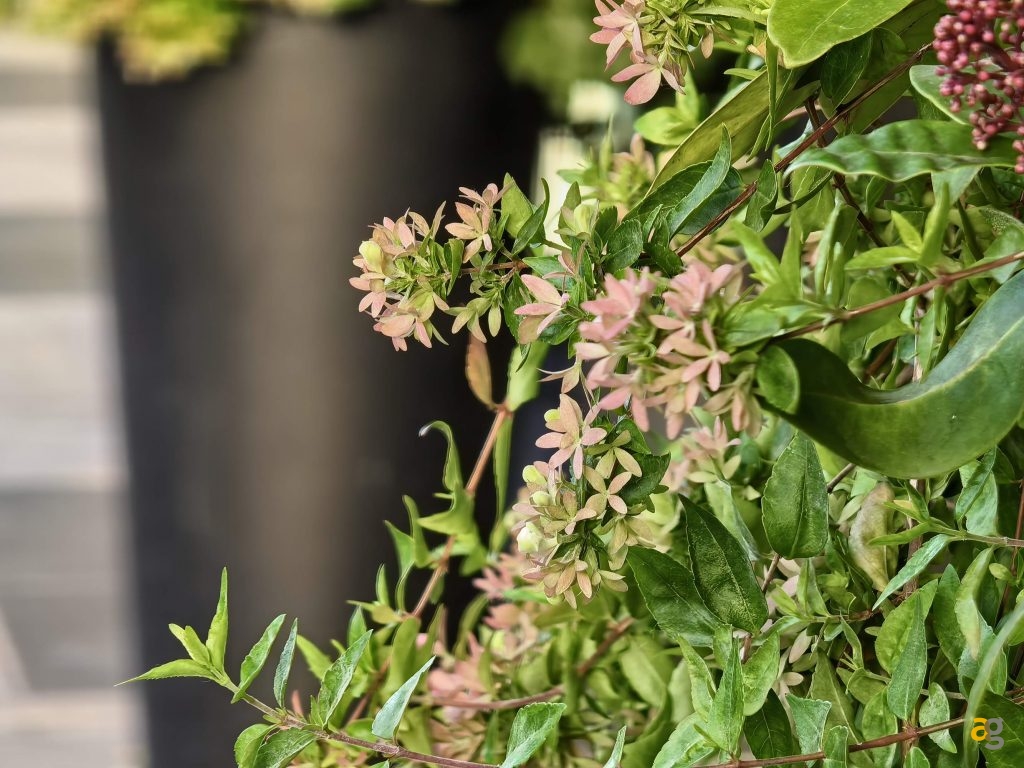 recensione-huawei-pura-80-ultra