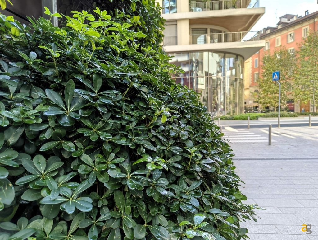 recensione-nothing-phone-3a-lite