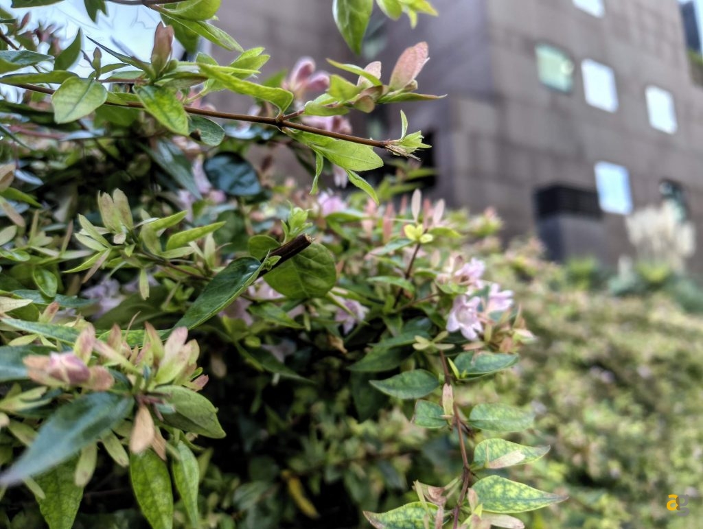 recensione-nothing-phone-3a-lite