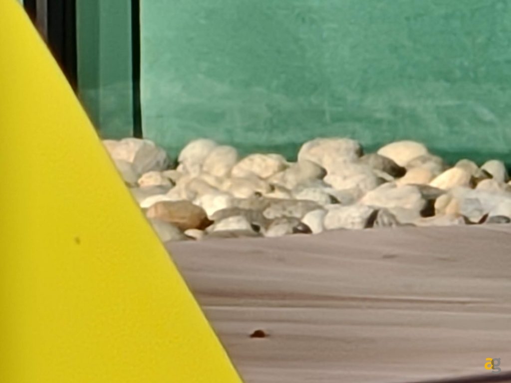 recensione-nubia-z80-ultra