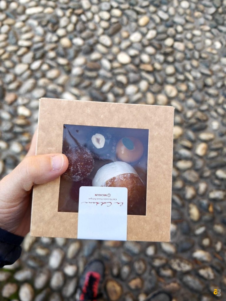 anteprima-xiaomi-17-pro-max