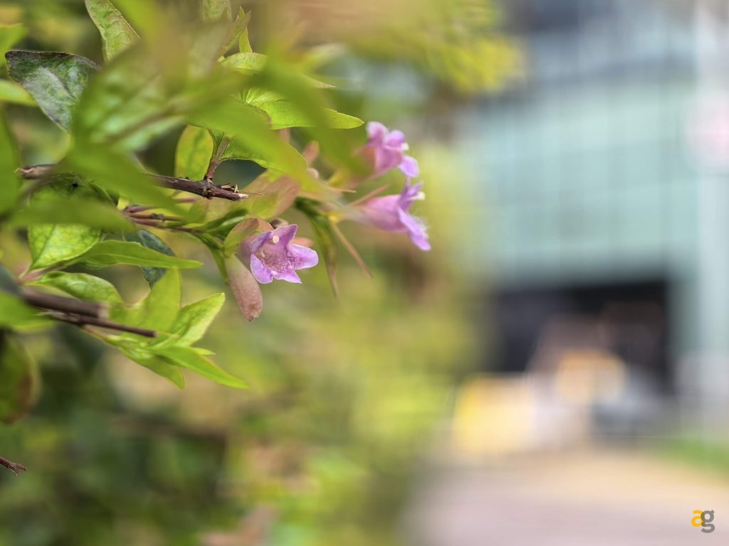 confronto-top-iphone-17-galaxy-s25-pixel-10-poco-f7-realme-gt8-oppo-x9-huawei-pura-vivo-x300