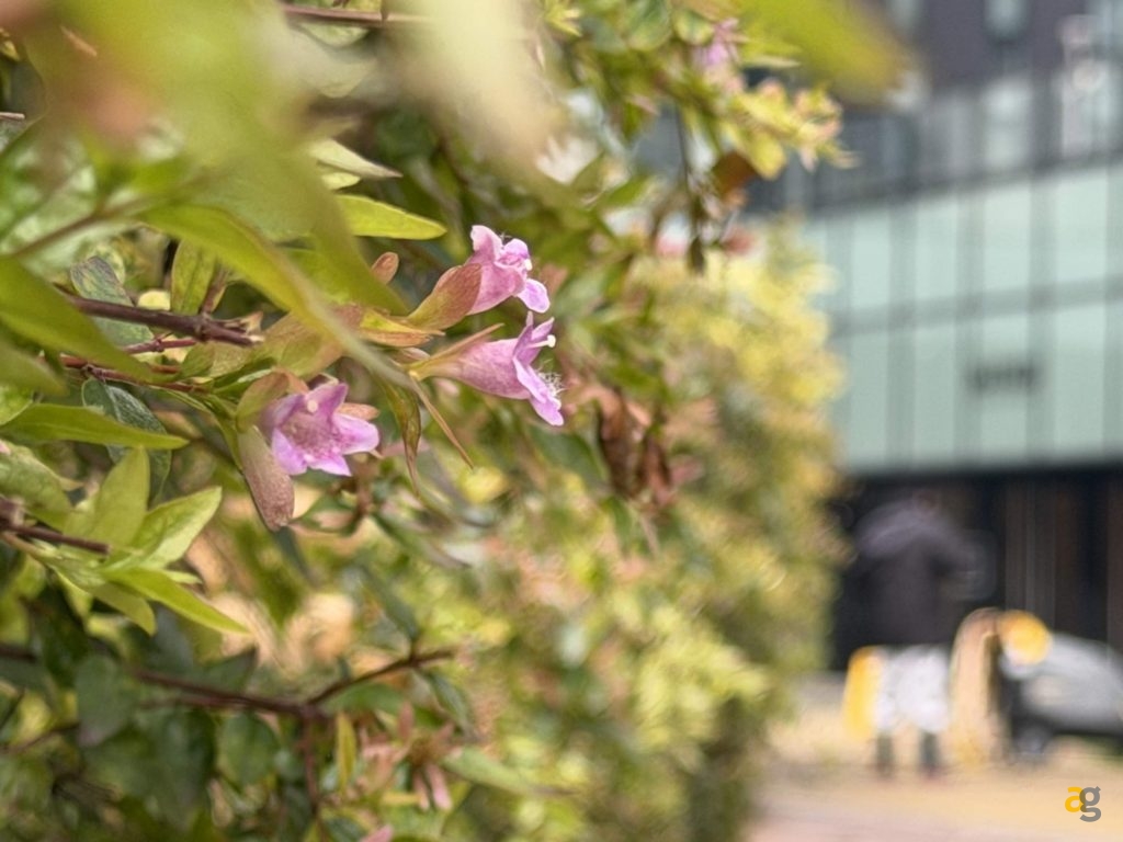 confronto-top-iphone-17-galaxy-s25-pixel-10-poco-f7-realme-gt8-oppo-x9-huawei-pura-vivo-x300