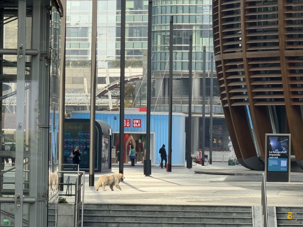 confronto-top-iphone-17-galaxy-s25-pixel-10-poco-f7-realme-gt8-oppo-x9-huawei-pura-vivo-x300