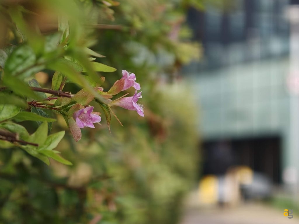 confronto-top-iphone-17-galaxy-s25-pixel-10-poco-f7-realme-gt8-oppo-x9-huawei-pura-vivo-x300