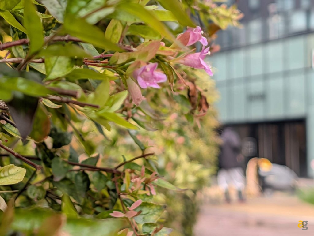 confronto-top-iphone-17-galaxy-s25-pixel-10-poco-f7-realme-gt8-oppo-x9-huawei-pura-vivo-x300