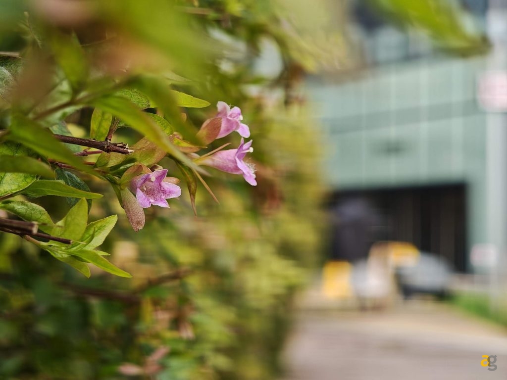 confronto-top-iphone-17-galaxy-s25-pixel-10-poco-f7-realme-gt8-oppo-x9-huawei-pura-vivo-x300