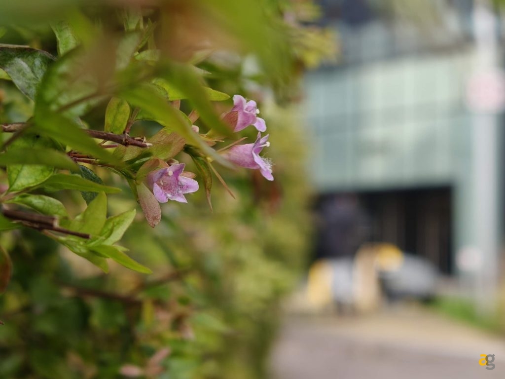 confronto-top-iphone-17-galaxy-s25-pixel-10-poco-f7-realme-gt8-oppo-x9-huawei-pura-vivo-x300