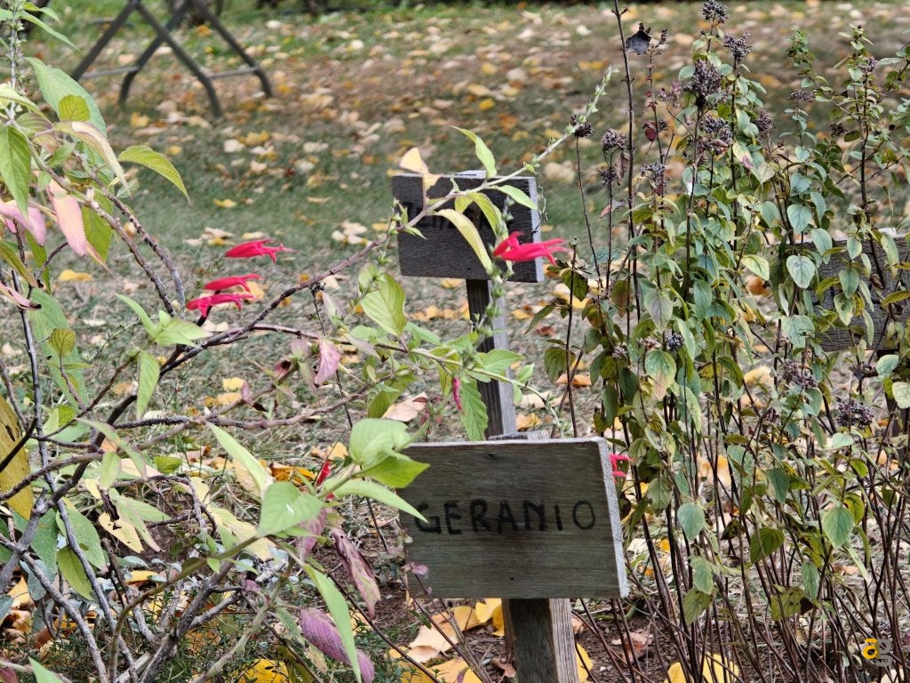 recensione-realme-gt-8-pro