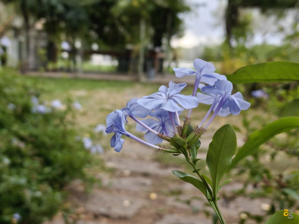 recensione-realme-gt-8-pro