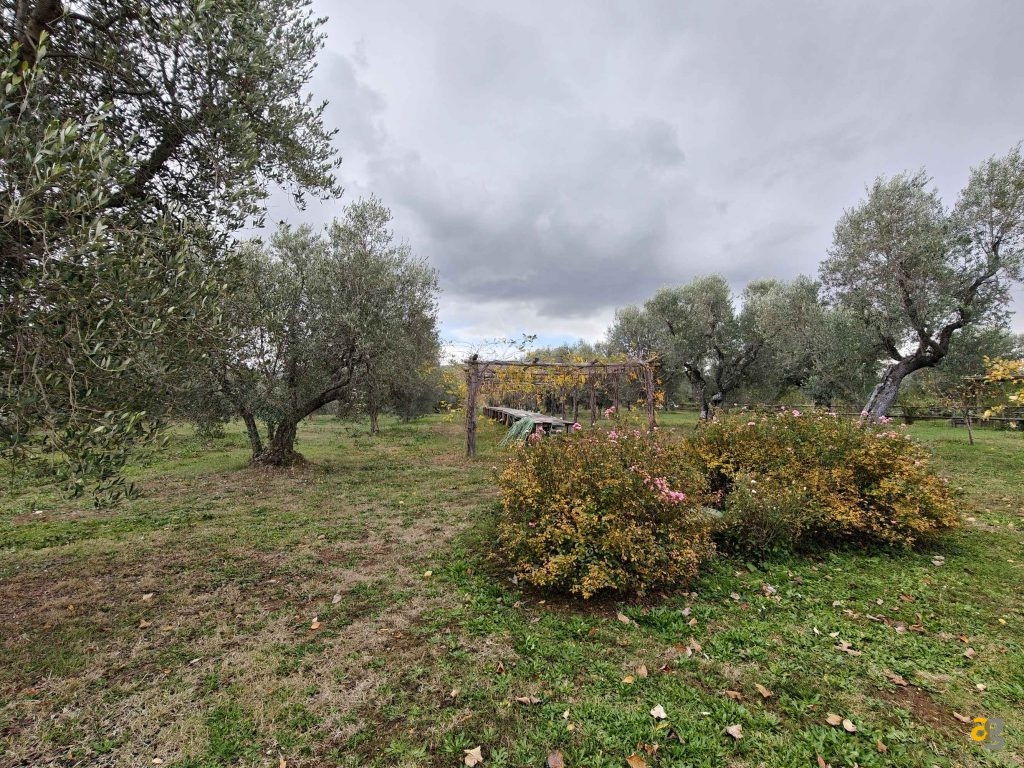 recensione-realme-gt-8-pro