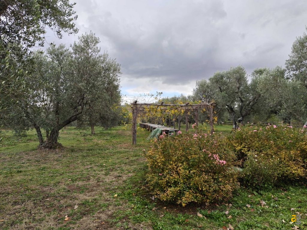 recensione-realme-gt-8-pro