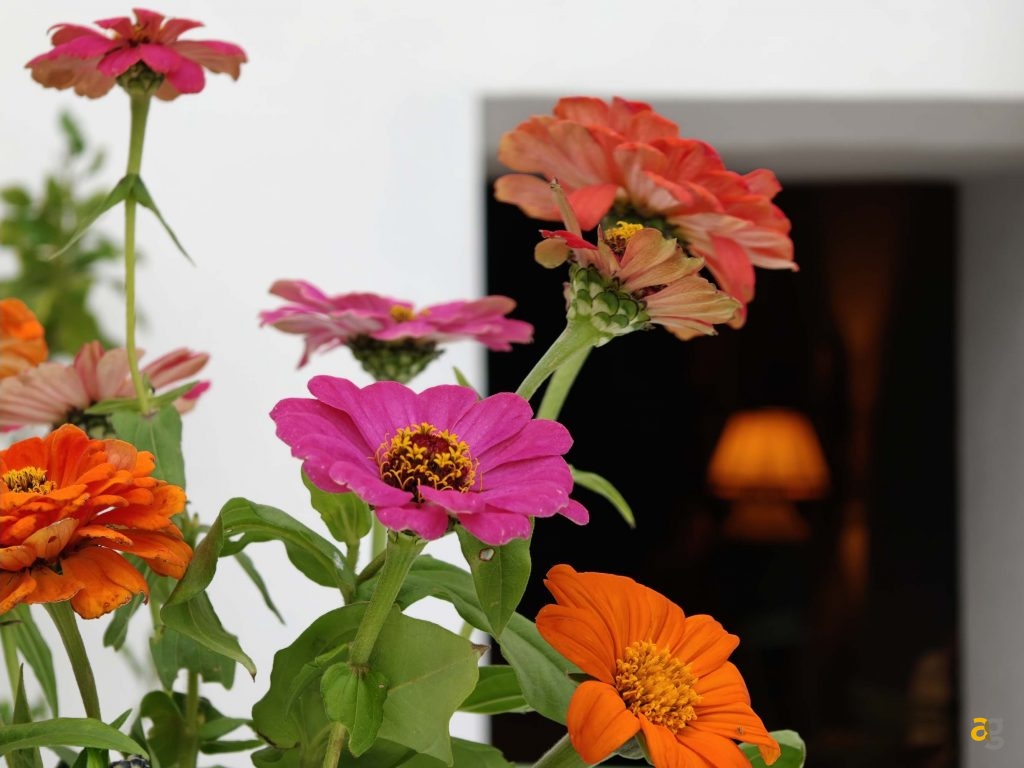 recensione-realme-gt-8-pro