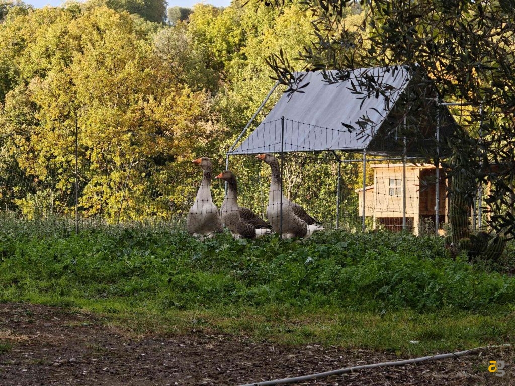 recensione-realme-gt-8-pro