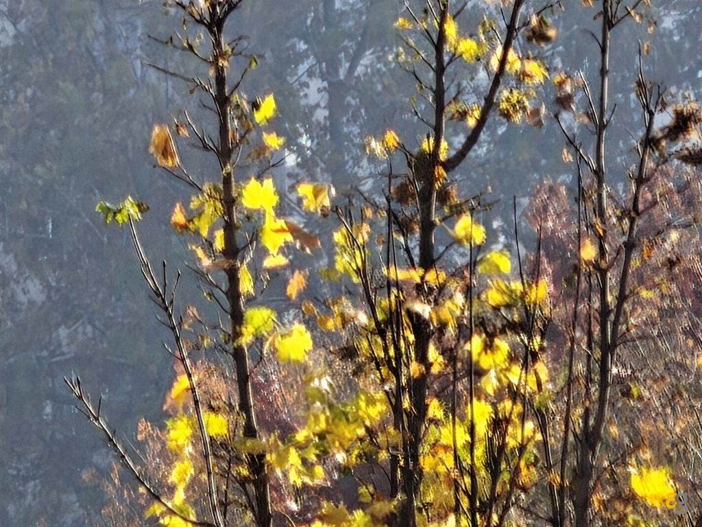 recensione-realme-gt-8-pro