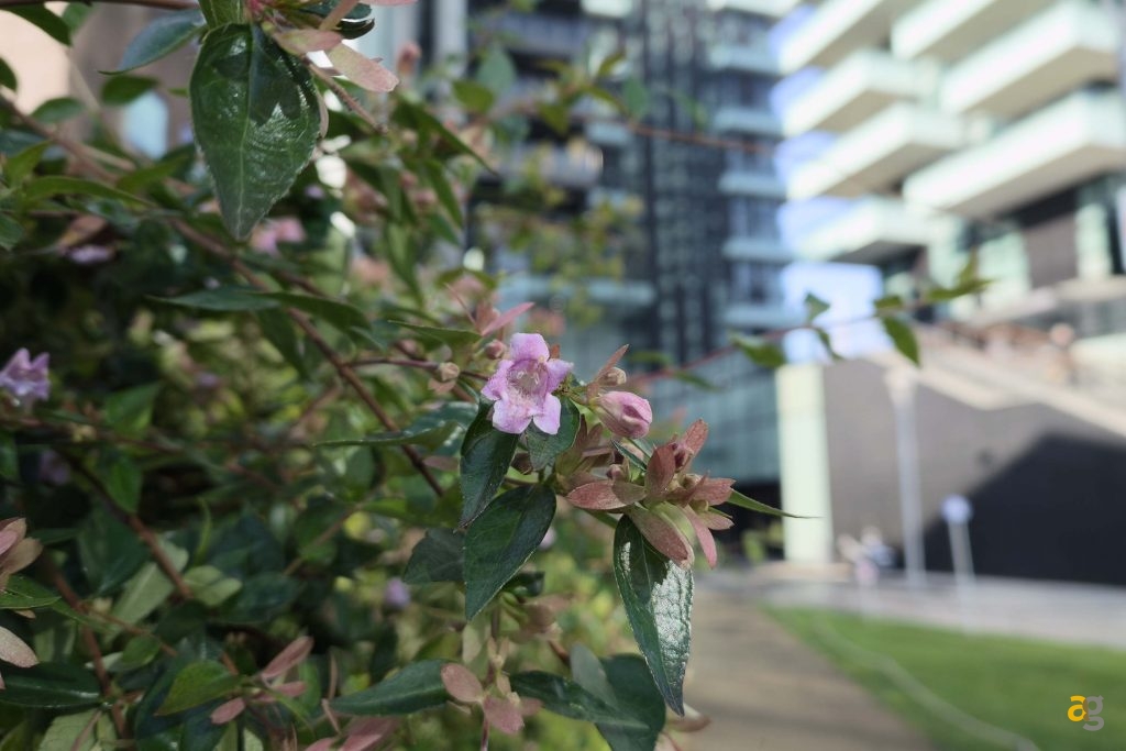 recensione-realme-gt-8-pro