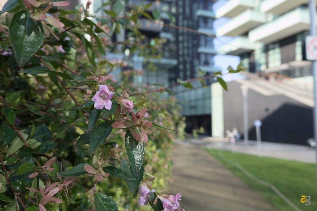 recensione-realme-gt-8-pro