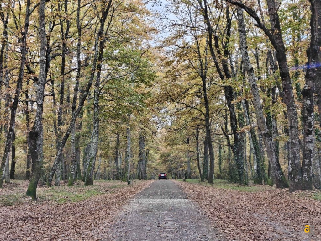 recensione-realme-gt-8-pro