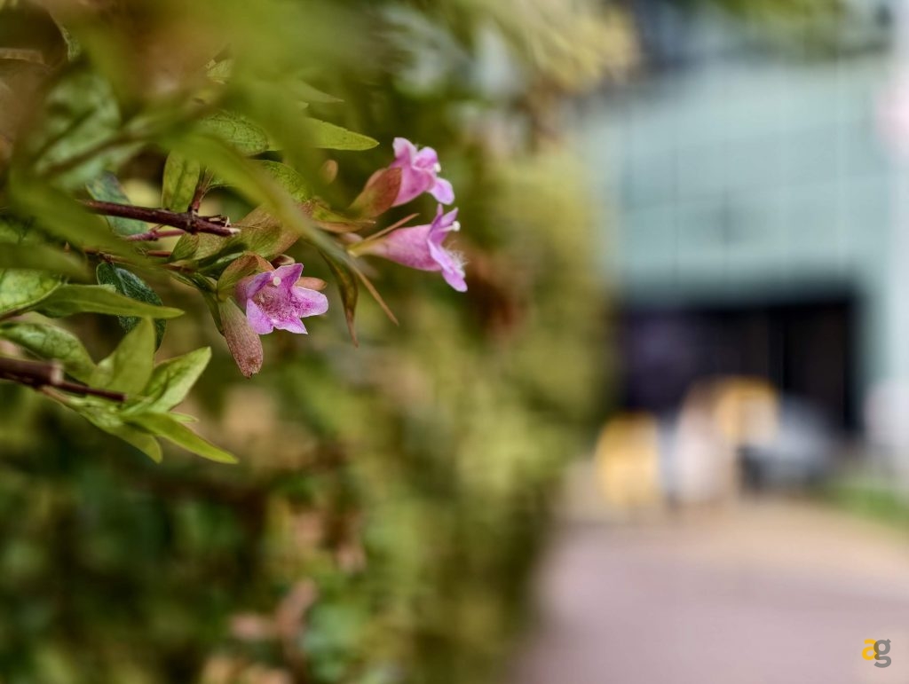 confronto-top-iphone-17-galaxy-s25-pixel-10-poco-f7-realme-gt8-oppo-x9-huawei-pura-vivo-x300