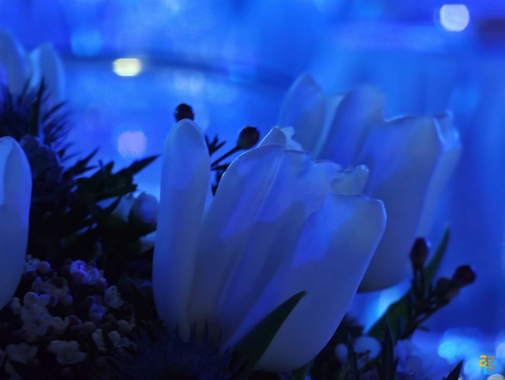 anteprima-xiaomi-17-ultra-top-cameraphone-arriva-in-italia