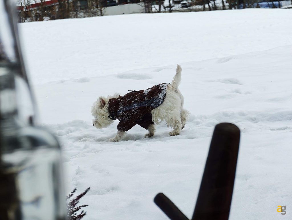 anteprima-xiaomi-17-ultra-top-cameraphone-arriva-in-italia