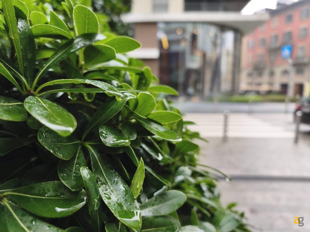 da-179e-a-479e-quale-si-quale-no-xiaomi-redmi-note-15-confronto