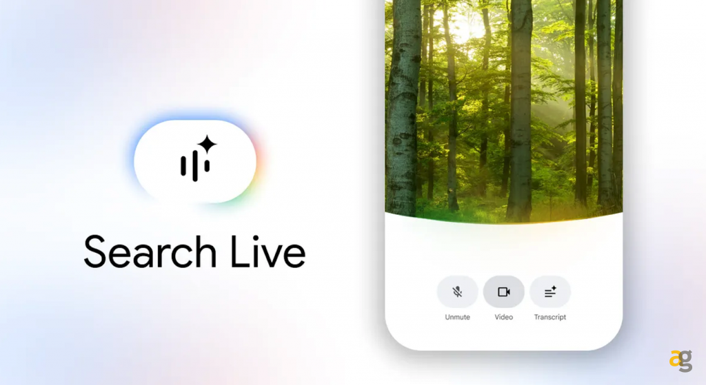 search_live_google2