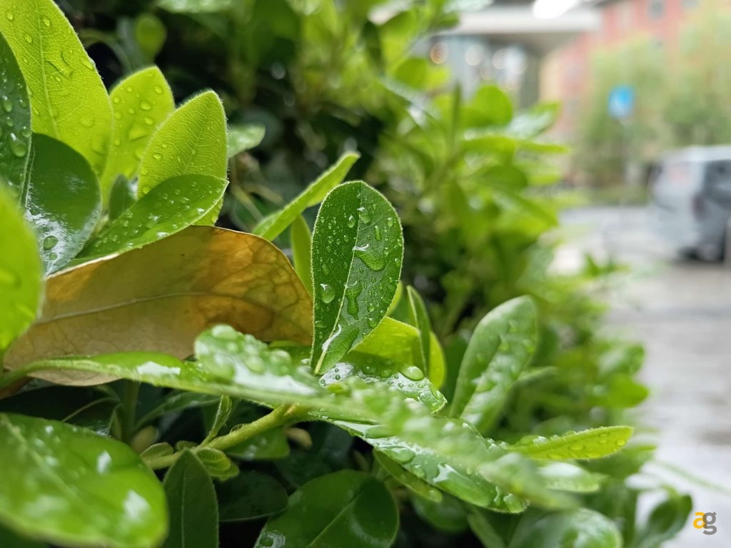 recensione-motorola-moto-g77