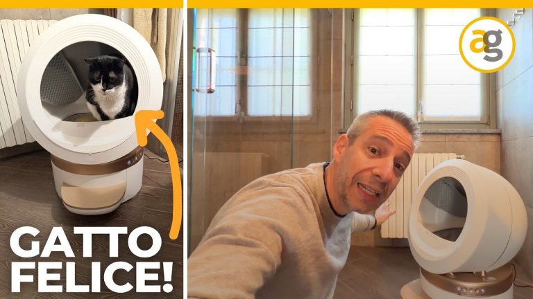 yt-thumbnail-Bvo8v3jBP7I