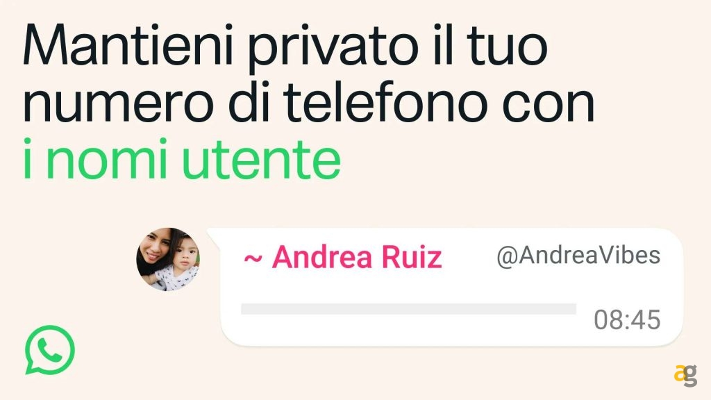 whatsapp_numero_username