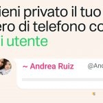 whatsapp_numero_username